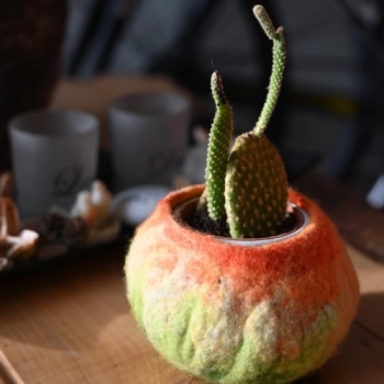 Alati i materijalli za MOKRO PUSTOVANJE VUNE