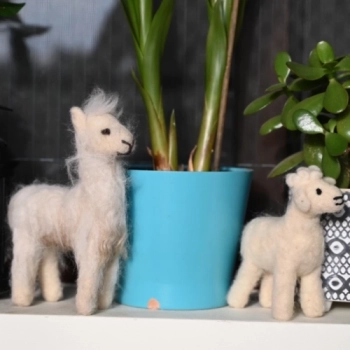 ALAT ZA MOKRO I SUVO PUSTOVANJE